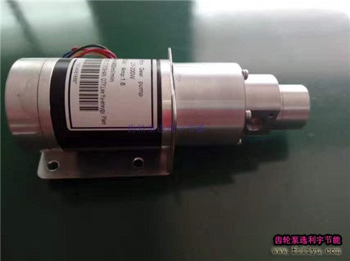 磁力齿轮泵型号LY60BDC24V