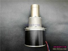 磁力齿轮泵型号LY87BDC12V